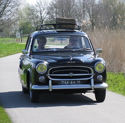 hollands glorie 202010 6