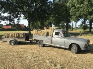 BE-83-98 19E17161-A984-49E8-A420-6D3AFE10EF