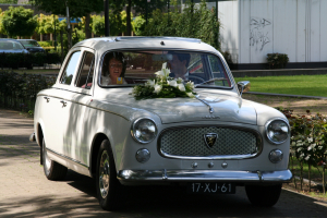 17xj61 IMG