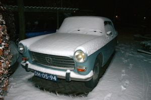 DM-05-94 DSC04194a