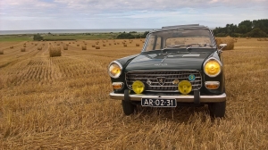 AR-02-31 WP 20170730 17 34 16 Pro