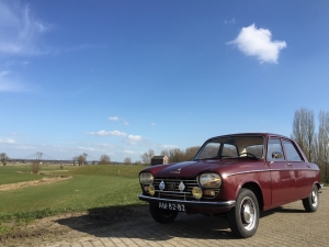 AM-82-82 Peugeot-204-niels