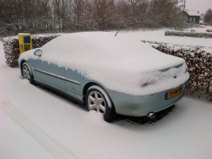 75-HN-VP Westerveld-20150124-